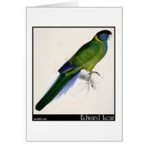 Edward Lear Bauers Parakeet Grußkarte
