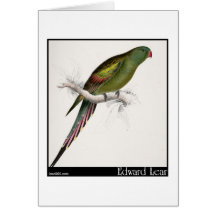 Edward Lear Blüte-Mit Federn versehener Parakeet Grußkarten