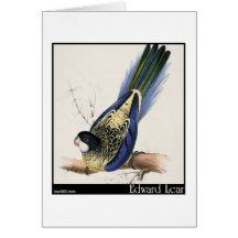 Edward Lear Browns Parakeet Grußkarte
