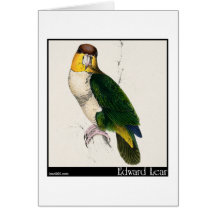 Edward Lear Bucht-Köpfiger Papagei Grußkarten