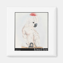 Edward Lear Cockatoo Lachs-Mit Haube Kühlschrankmagnet