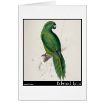 Edward Lear einheitlicher Parakeet Grußkarte