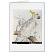 Edward Lear größerer Cockatoo Schwefel-Mit Haube Grußkarten