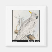 Edward Lear größerer Cockatoo Schwefel-Mit Haube Kühlschrankmagnet