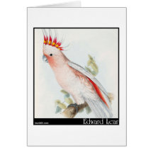 Edward Lear Leadbeaters Cockatoo Karten