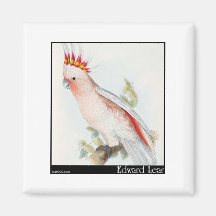 Edward Lear Leadbeaters Cockatoo Magnete