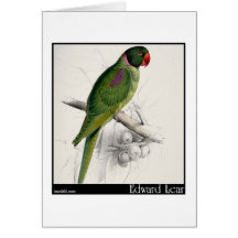 Edward Lear mit Kapuze Parakeet Grußkarte