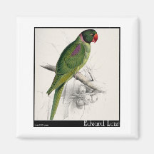 Edward Lear mit Kapuze Parakeet Kühlschrankmagnete