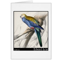 Edward Lear Paleheaded Parakeet Grußkarten