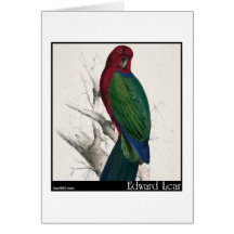 Edward Lear Tabuan Parakeet Karten
