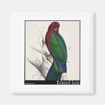 Edward Lear Tabuan Parakeet Kühlschrankmagnet