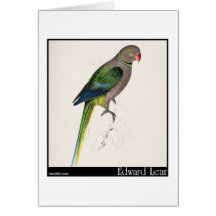 Edward Lear TaubeParakeet Karten