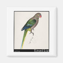 Edward Lear TaubeParakeet Kühlschrankmagnet