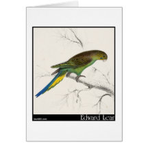 Edward Lear Undulated Parakeet Grußkarte