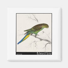 Edward Lear Undulated Parakeet Kühlschrankmagnete