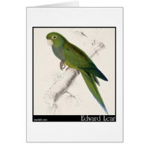 Edward Lear zwergartiger Parakeet-Macaw Karte