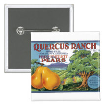 Eichen-Ranch-Bartlettbirnen-Birnen Anstecknadelbuttons