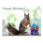 Eichhörnchen-alles Gute zum Geburtstag! Postkarten