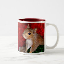 Eichhörnchen-Becher Kaffee Haferl