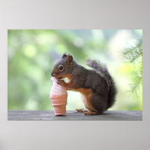 Eichhörnchen, das eine Eistüte isst Plakat