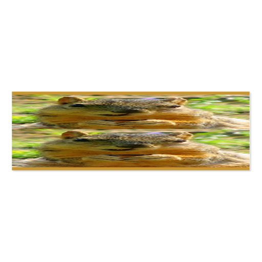 Eichhörnchen-Lesezeichen Visitenkarten