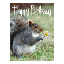 Eichhörnchen mit Gänseblümchen-alles- Gute zum Geb
