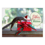 Eichhörnchen-Öffnungs-Weihnachtsgeschenk Grußkarten