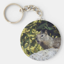 Eichhörnchen Schlüsselbänder