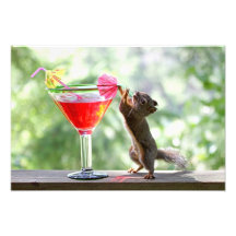 Eichhörnchen-trinkendes Cocktail Photo Drucke