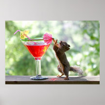 Eichhörnchen-trinkendes Cocktail Plakatdrucke