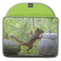 Eichhörnchen-und Plätzchen-Glas MacBook Pro Sleeve