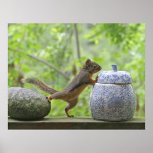 Eichhörnchen-und Plätzchen-Glas-Plakat-Druck
