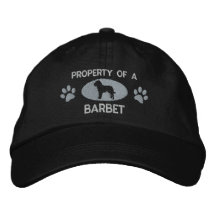 Eigentum eines Barbet gestickten Hutes (Silber) Besticktes Baseballcap