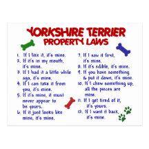 Eigentums-Gesetze 2 Yorkie YORKSHIRES TERRIER Postkarten