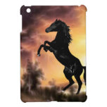 Ein aufrichtenstallion am Sonnenuntergang