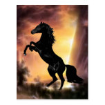 Ein aufrichtenstallion am Sonnenuntergang Postkarte