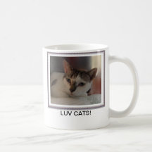 Ein Becher für den Katzenliebhaber. LilyCats Liebe Kaffeehaferl