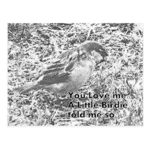 Ein Birdie sagte Sie Liebe ich Postkarten