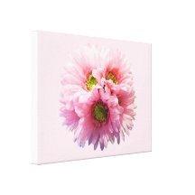 Ein Bündel rosa Gänseblümchen Galerie Gefaltete Leinwand