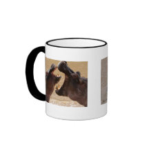 Ein Flusspferd-Morgen Kaffee Tassen