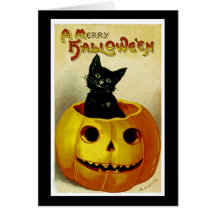 Ein fröhliches Haloween Kätzchen Grußkarten