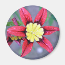 ein hübscher Blumenmagnet Magnete