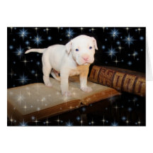Ein Hund ist für das Leben, nicht gerade für Weihn Karten