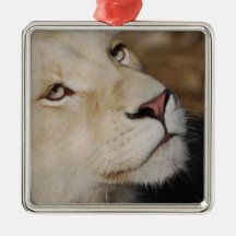 Ein leichter Löwe Ornament