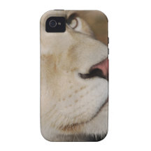 Ein leichter Löwe Vibe iPhone 4 Case