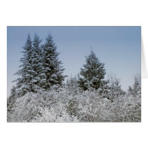 Ein Maine-Winter 4 Karten