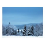 Ein Maine-Winter 5 Postkarten