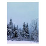 Ein Maine-Winter 6 Postkarte