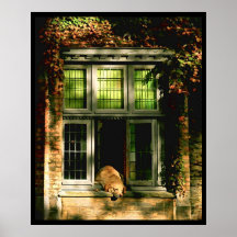 Ein Nickerchen in der Sonne - Brügge Poster