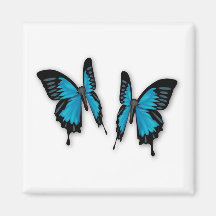 Ein Paar tropische blaue Schmetterlinge Kühlschrankmagnet